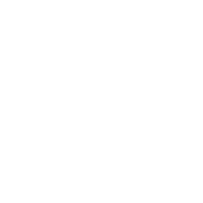 Leaf Icon